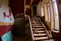 IMG_8081
