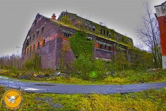 IMG_8321
