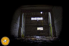 IMG_8324