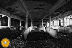 IMG_8326