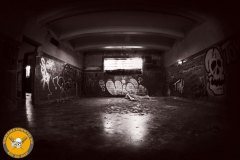 IMG_8329